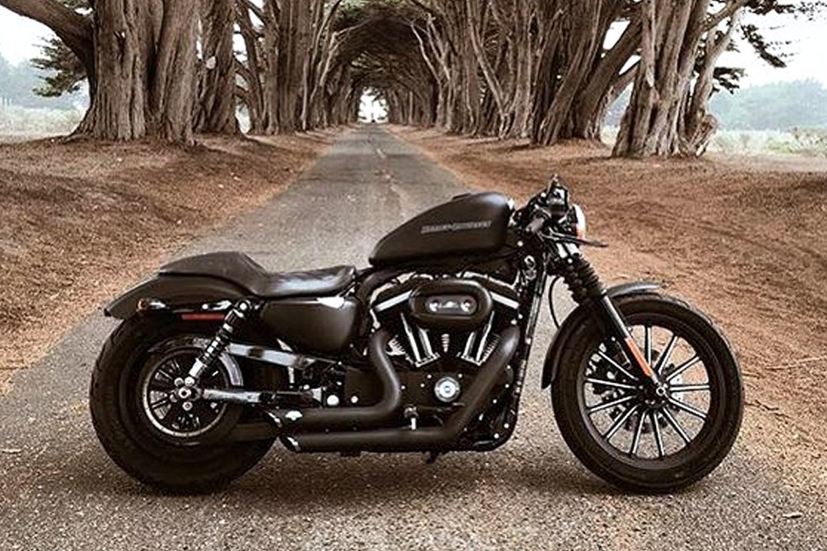 HD Sportster 883 Custom