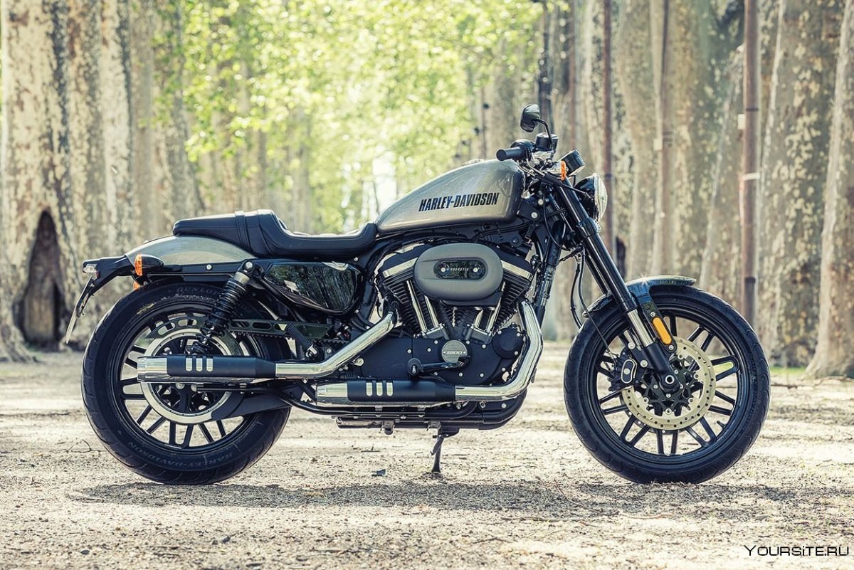 Харлей Дэвидсон Roadster