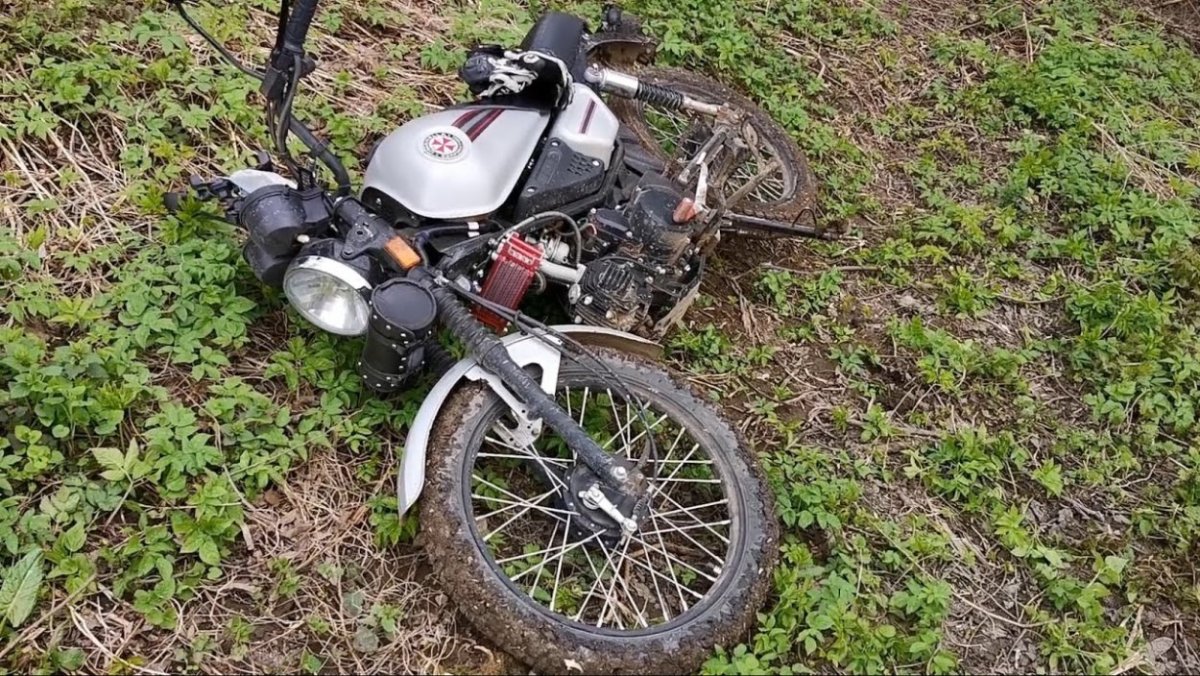Альфа Колт 50