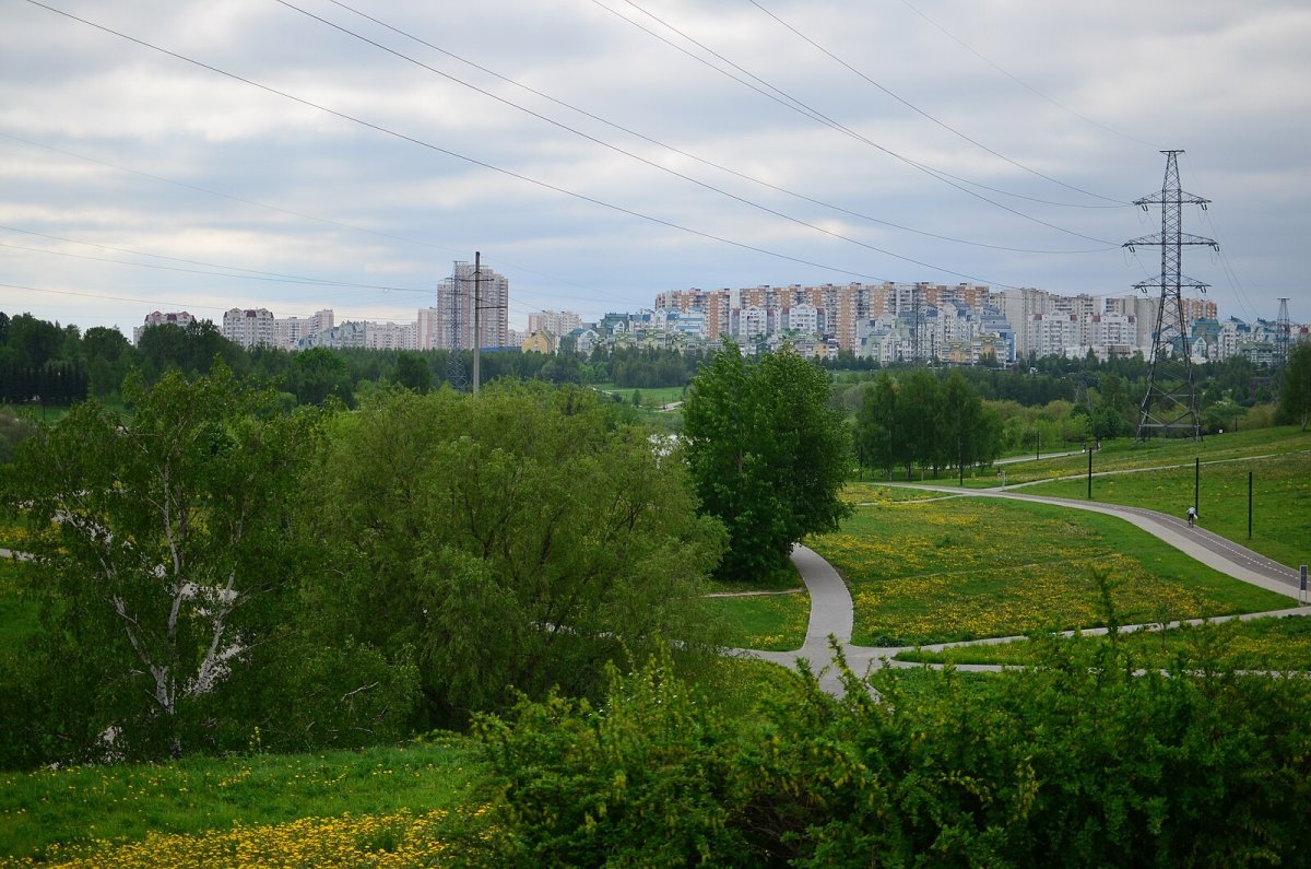 Ландшафтный парк Митино здоровье