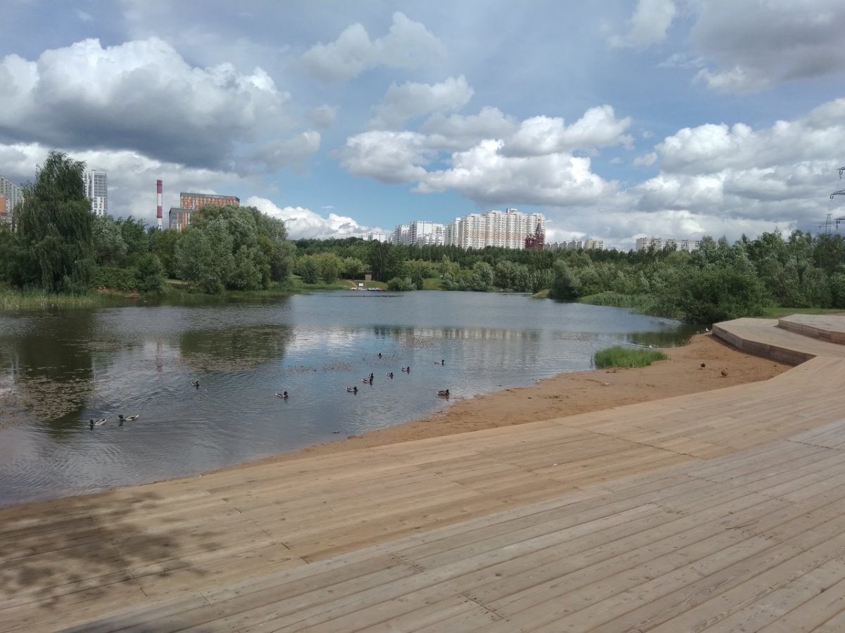 Митино пляж овраг