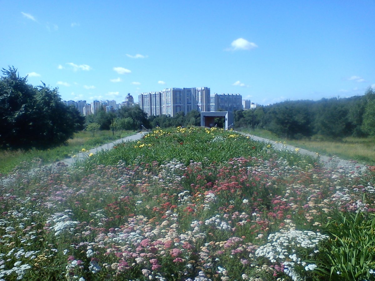 Ландшафтный парк