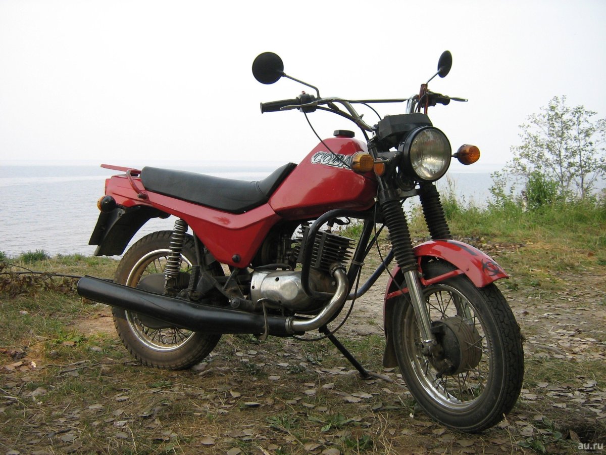 Восход ЗИД Сова 175