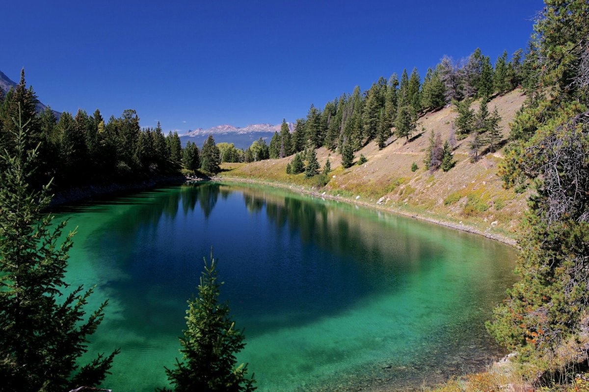 5 Lakes