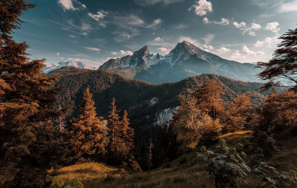 Природа горы лес