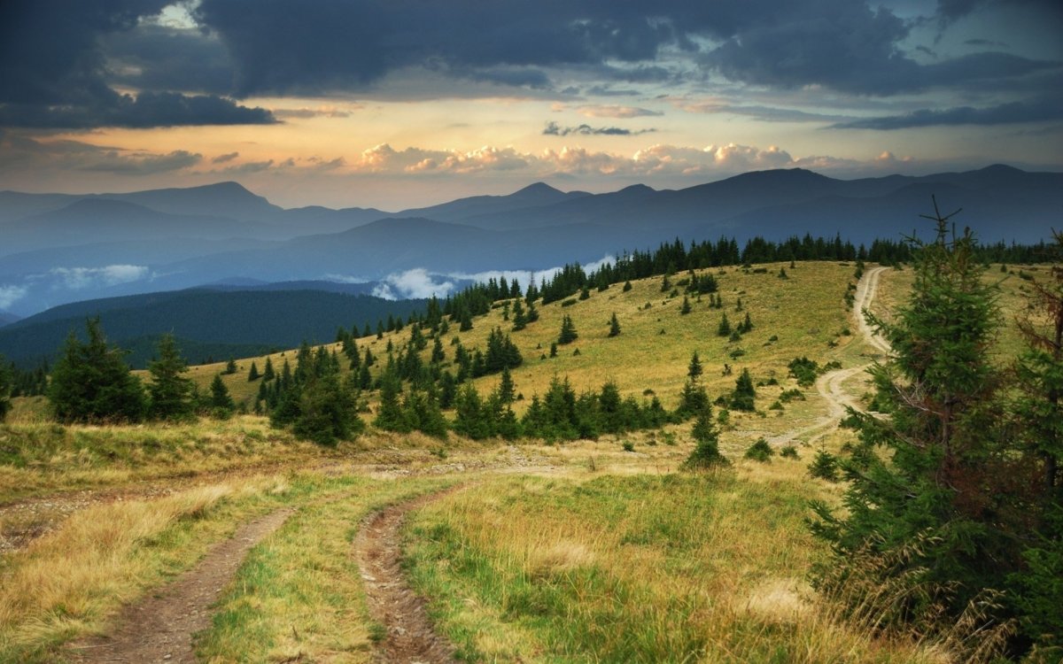 Предгорье Карпат