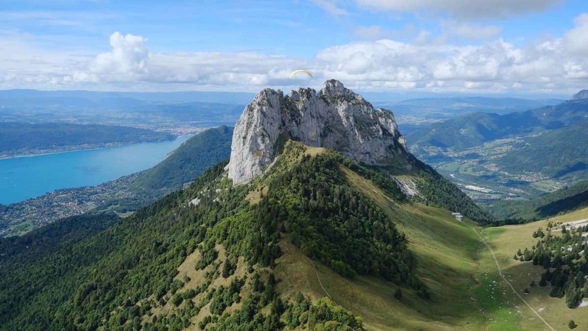 Гора Карачаевск дерево