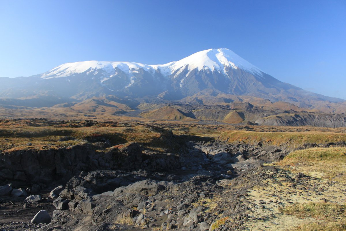 Плоский Толбачик Камчатка
