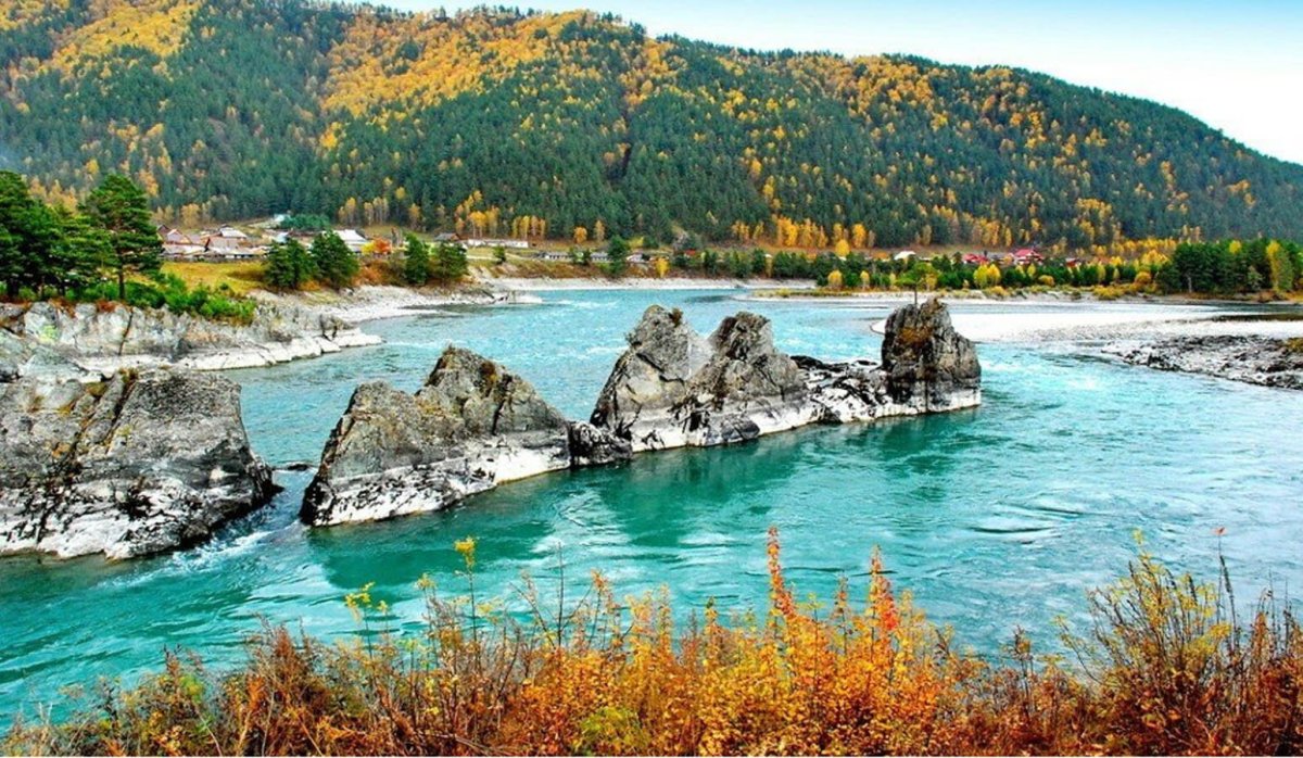 Река Катунь горный Алтай