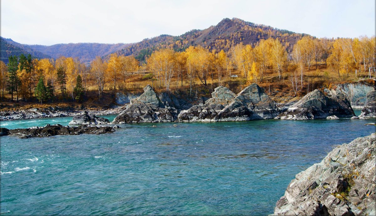 Зубы дракона горный Алтай