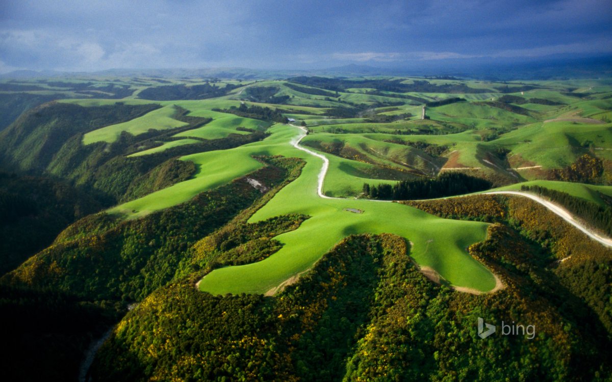 Новая Зеландия (New Zealand)