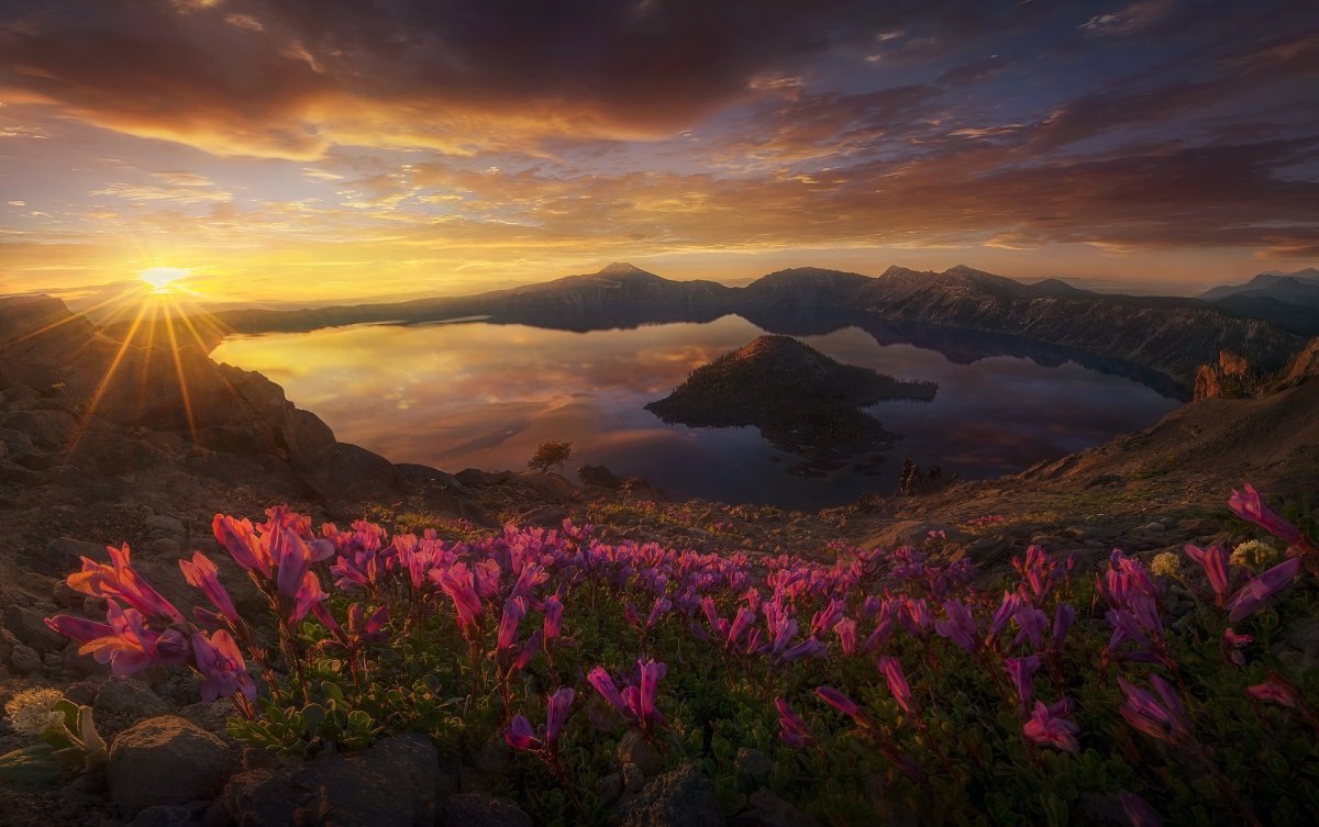 Marc Adamus (Марк Адамус