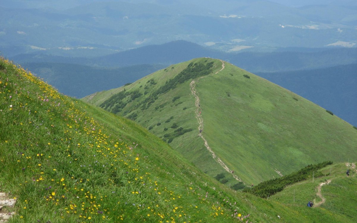 Холмы Краснодарского края