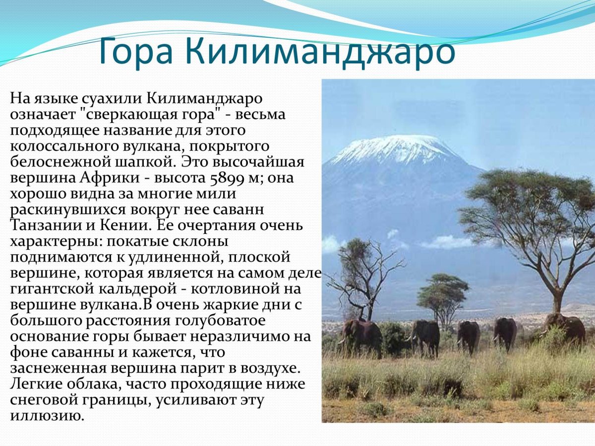 Гора Килиманджаро интересные факты