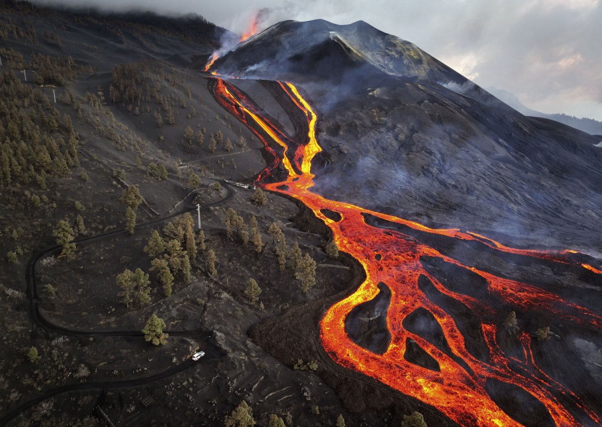 Lava Life