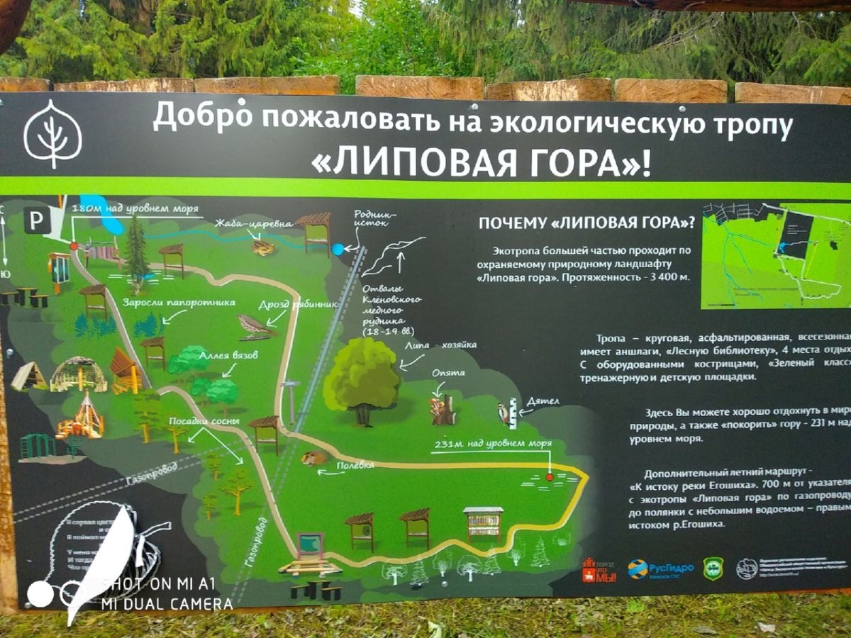 Липовая гора Пермь карта