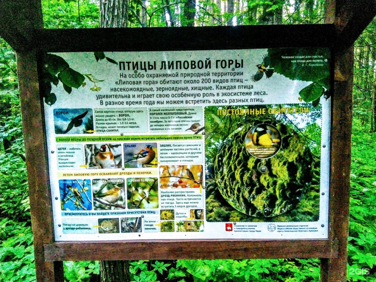 Экотроп Липовая гора Пермь