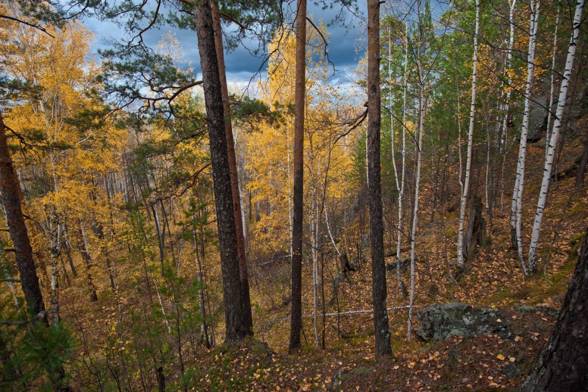Дегтярск 2012