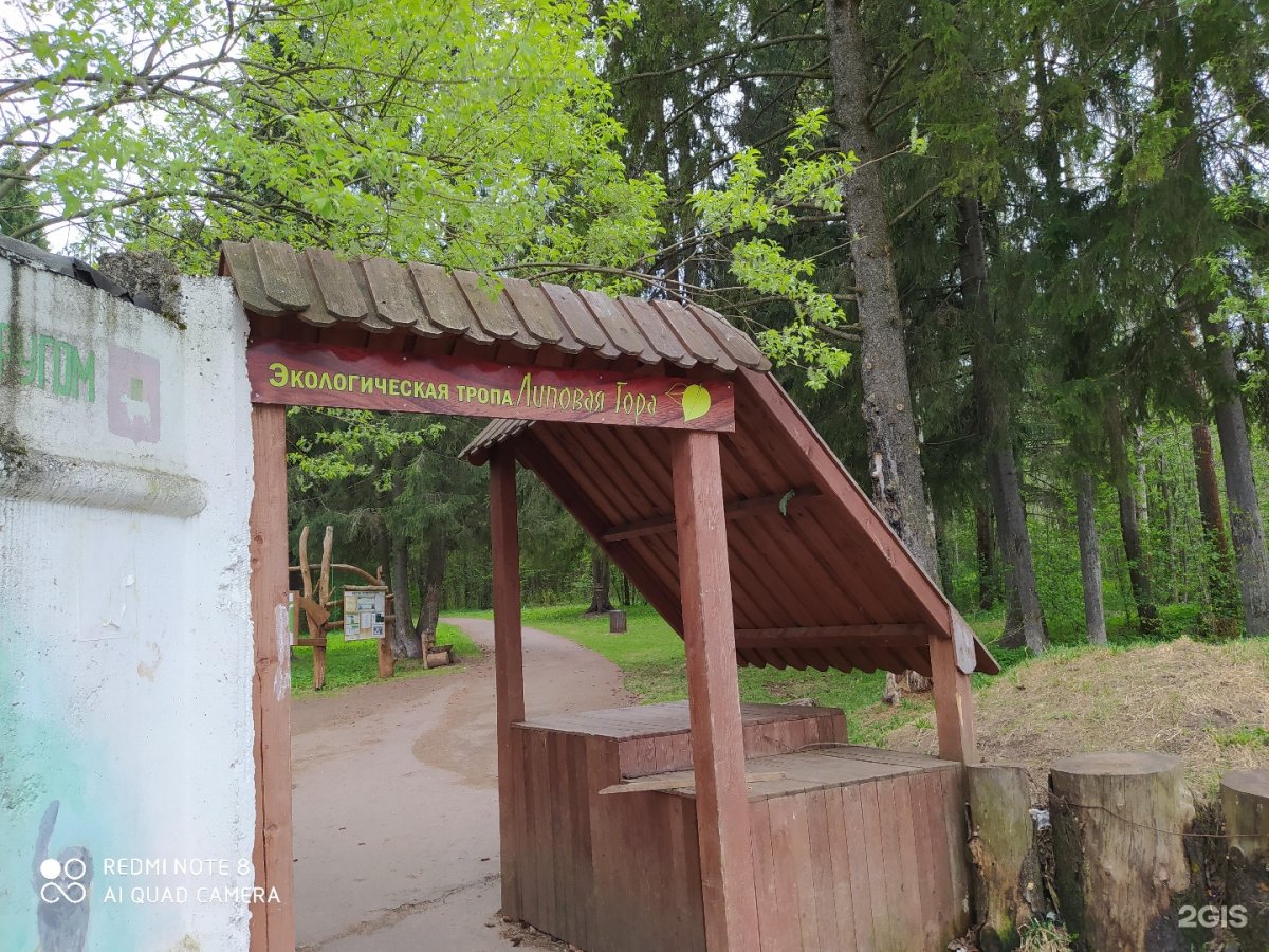 Экологическая тропа Липовая гора Пермь