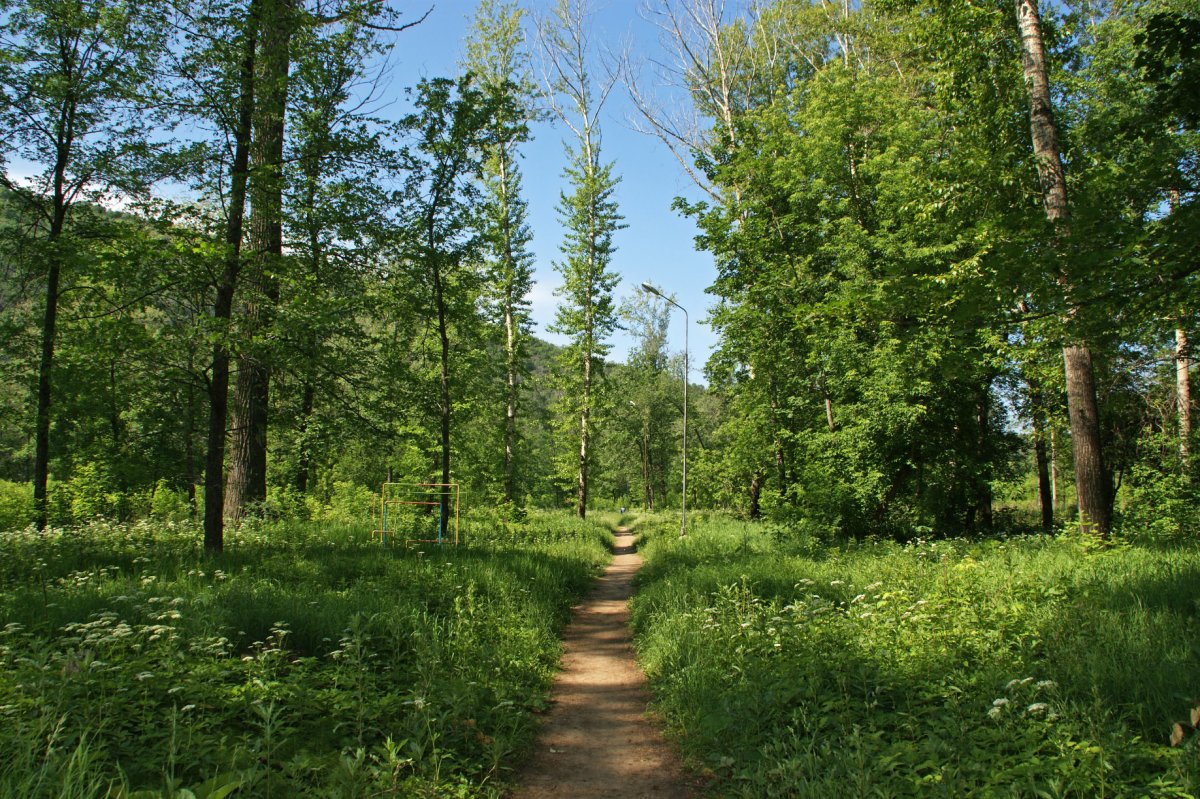 Липовая гора