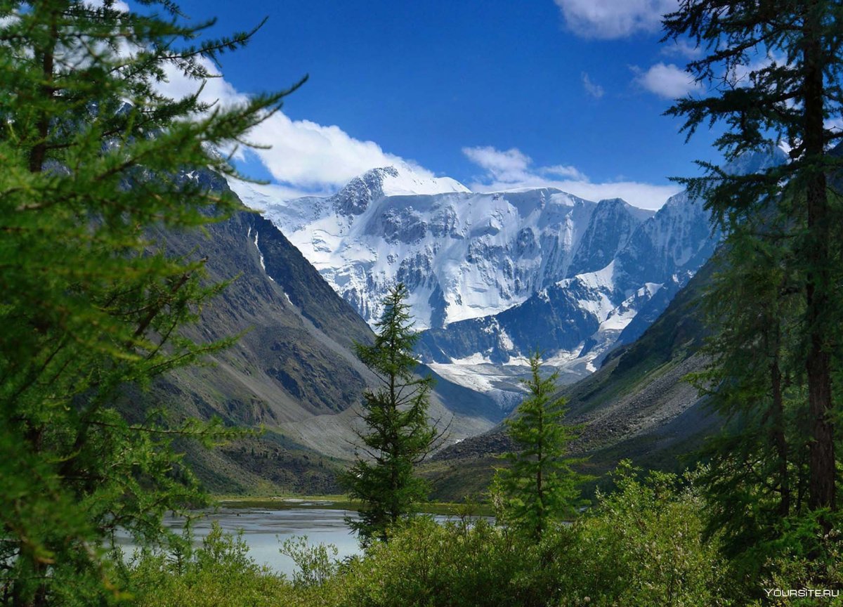 Алтайский заповедник гора Белуха