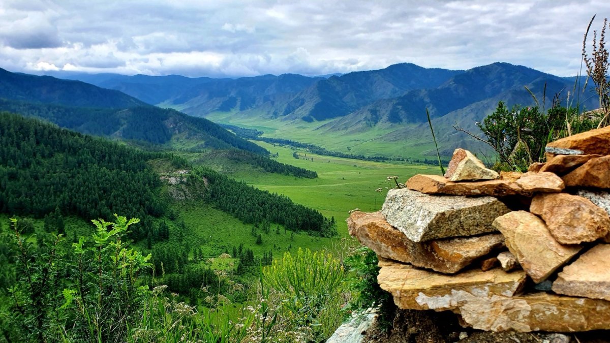 Алтай Велес горный Алтай