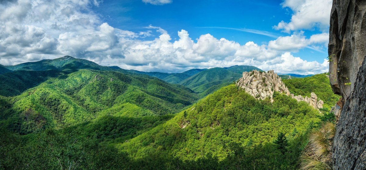Горы Сихотэ Алинь