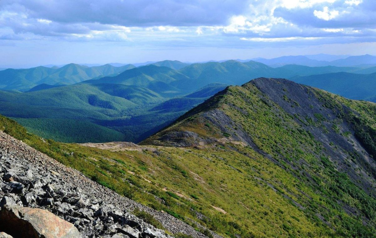 Приморский край горы Сихотэ Алинь