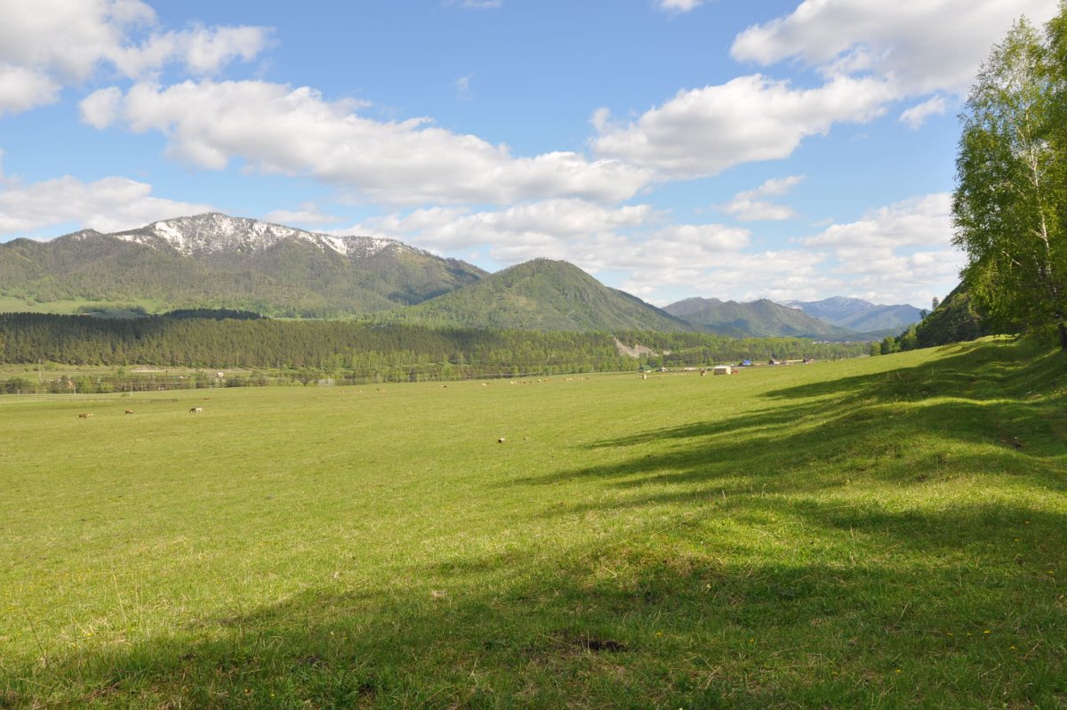 Село Аюла Чемальский район