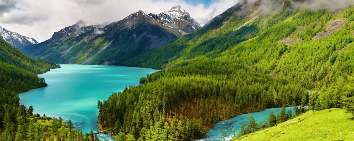 Сибирское здоровье Siberian Wellness