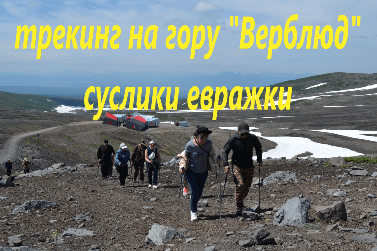 Евражек Камчатка