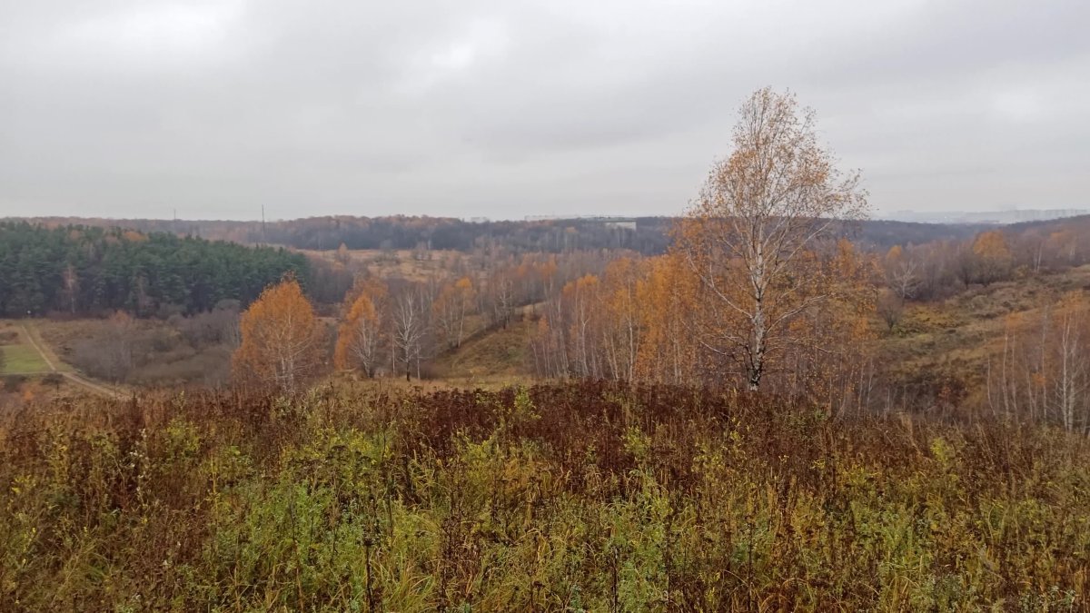 Гора в Орехово Борисово