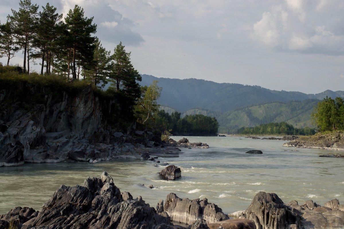 Элекмонар горный