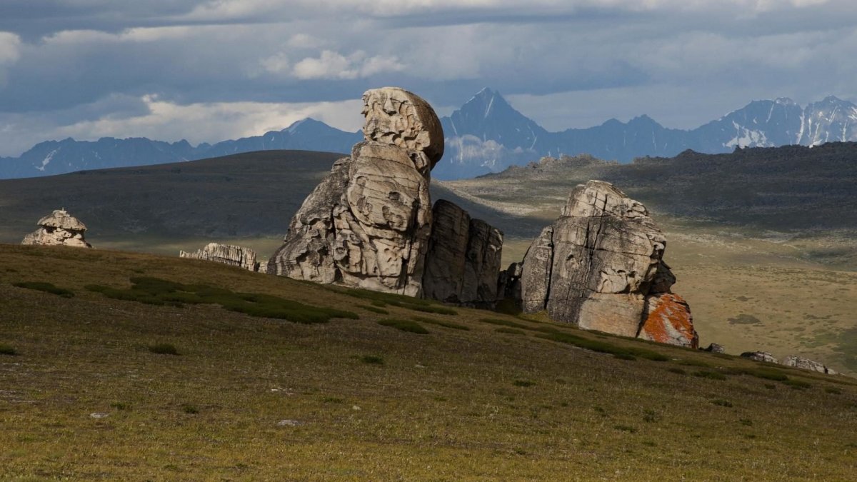 Урочище Чокпартас Алтай
