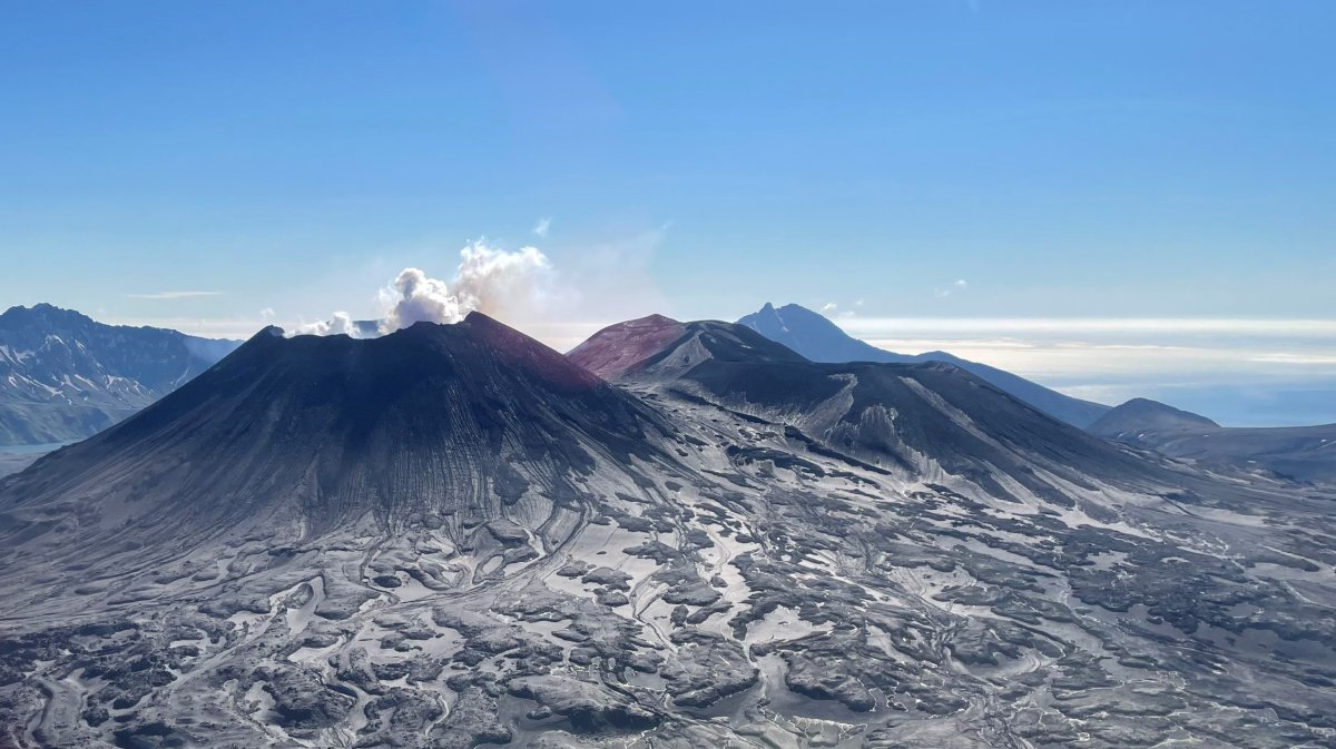 Cerro Nevado этикетка