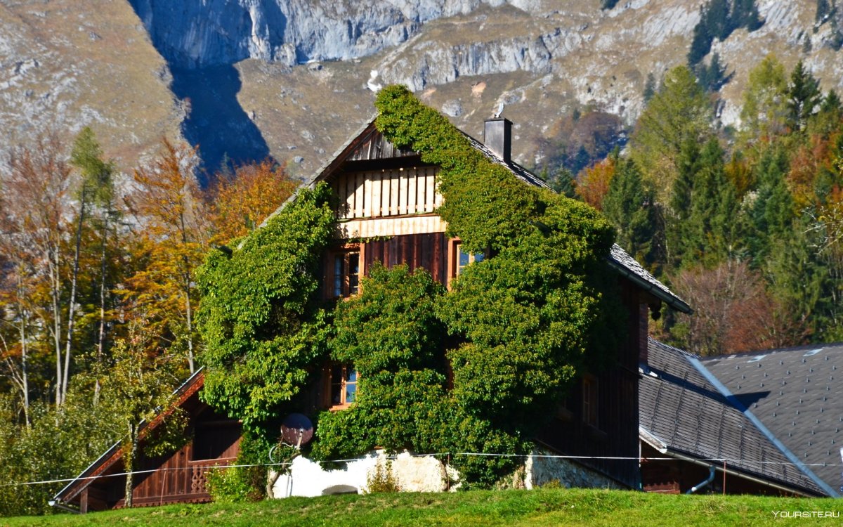 Veritas haus, Австрия: