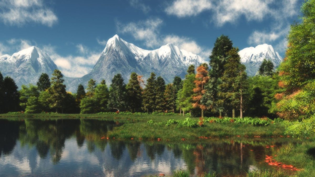 Лес горы
