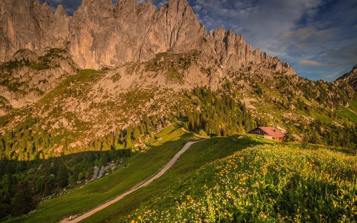 Альпы Швейцария зелень