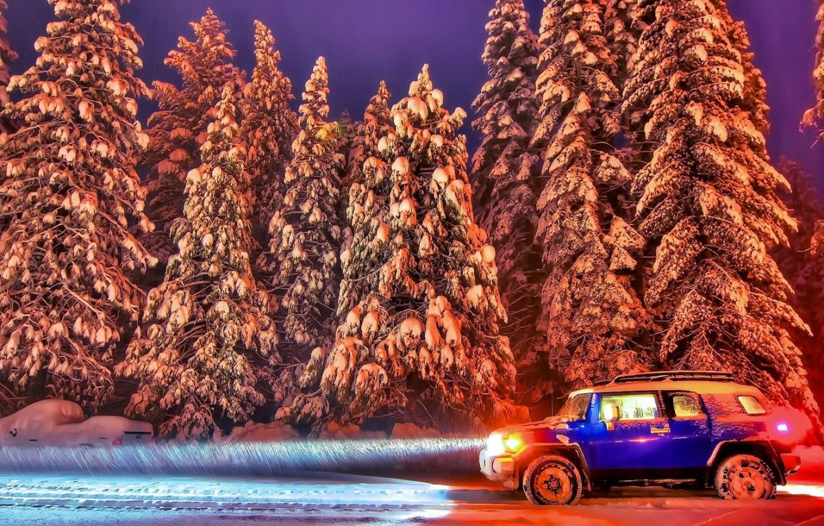 Новогодний лес с дорогой