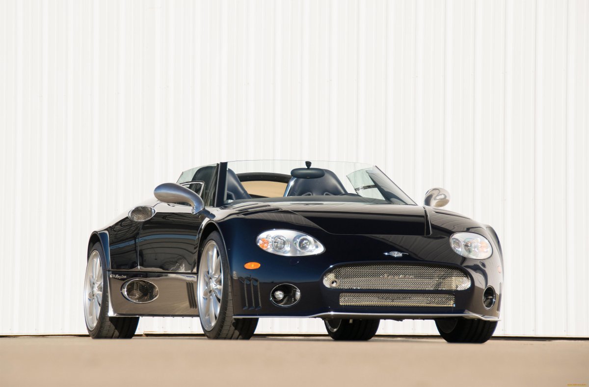 Spyker скунс