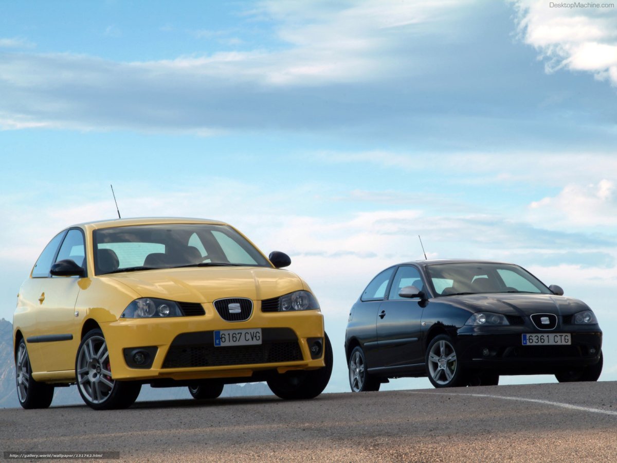 Seat Ibiza 6l Cupra