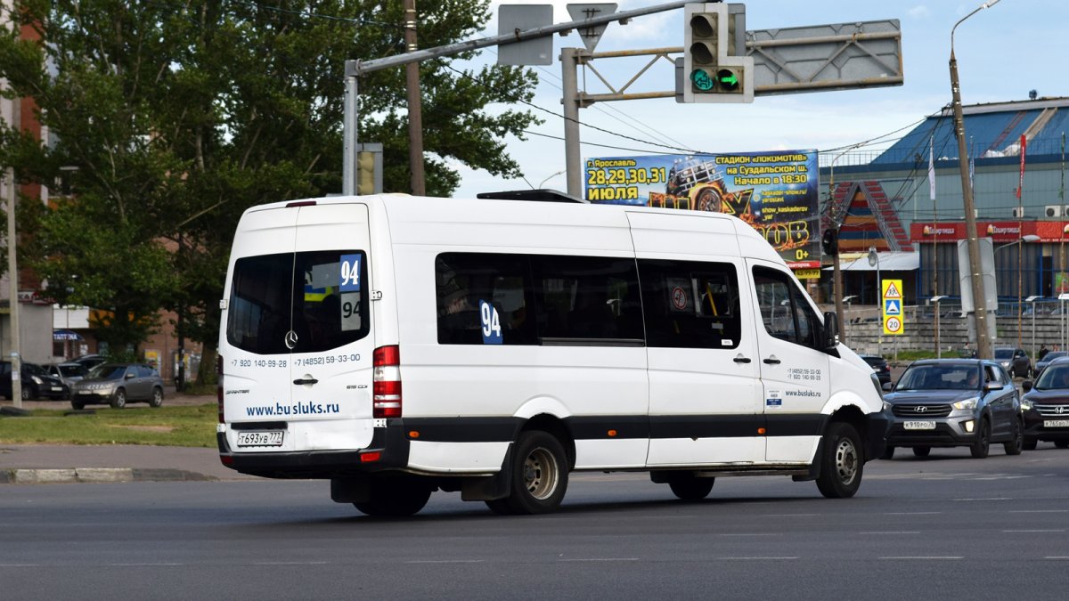 Sprinter Tiger автобус