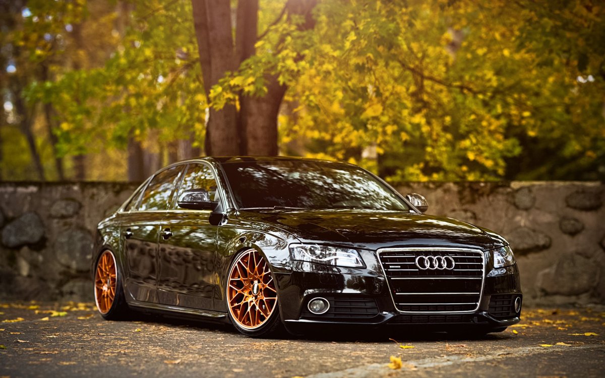 Audi a4 b8 stance