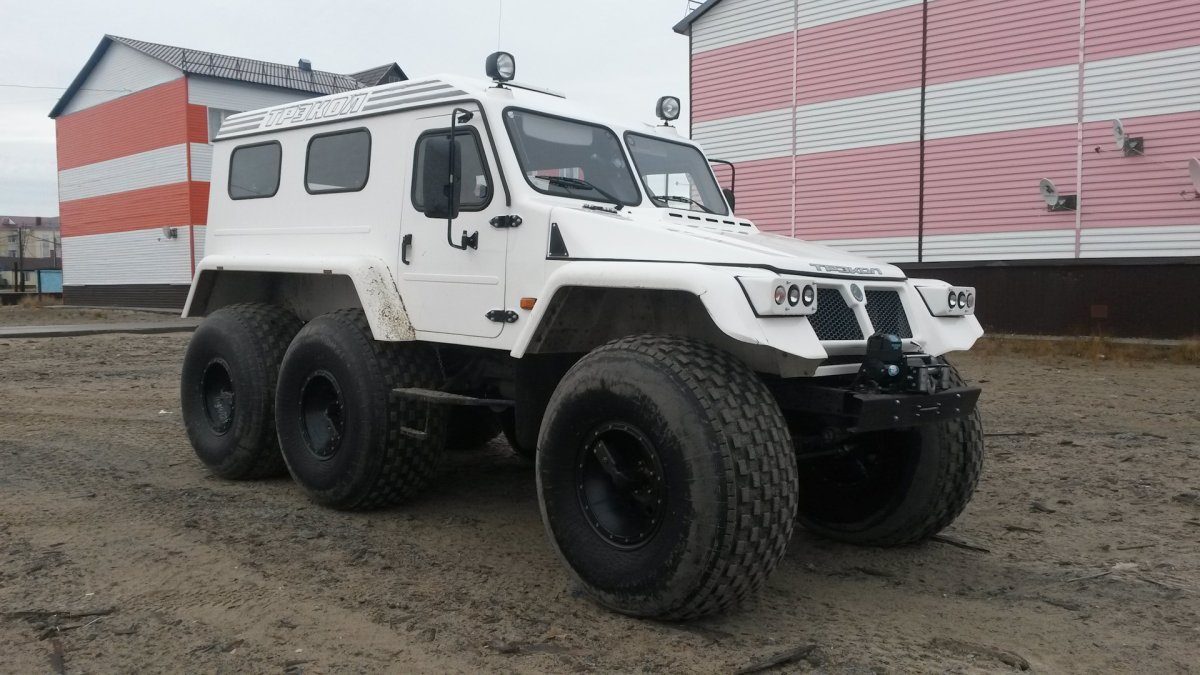Трэкол-39294 двигатель