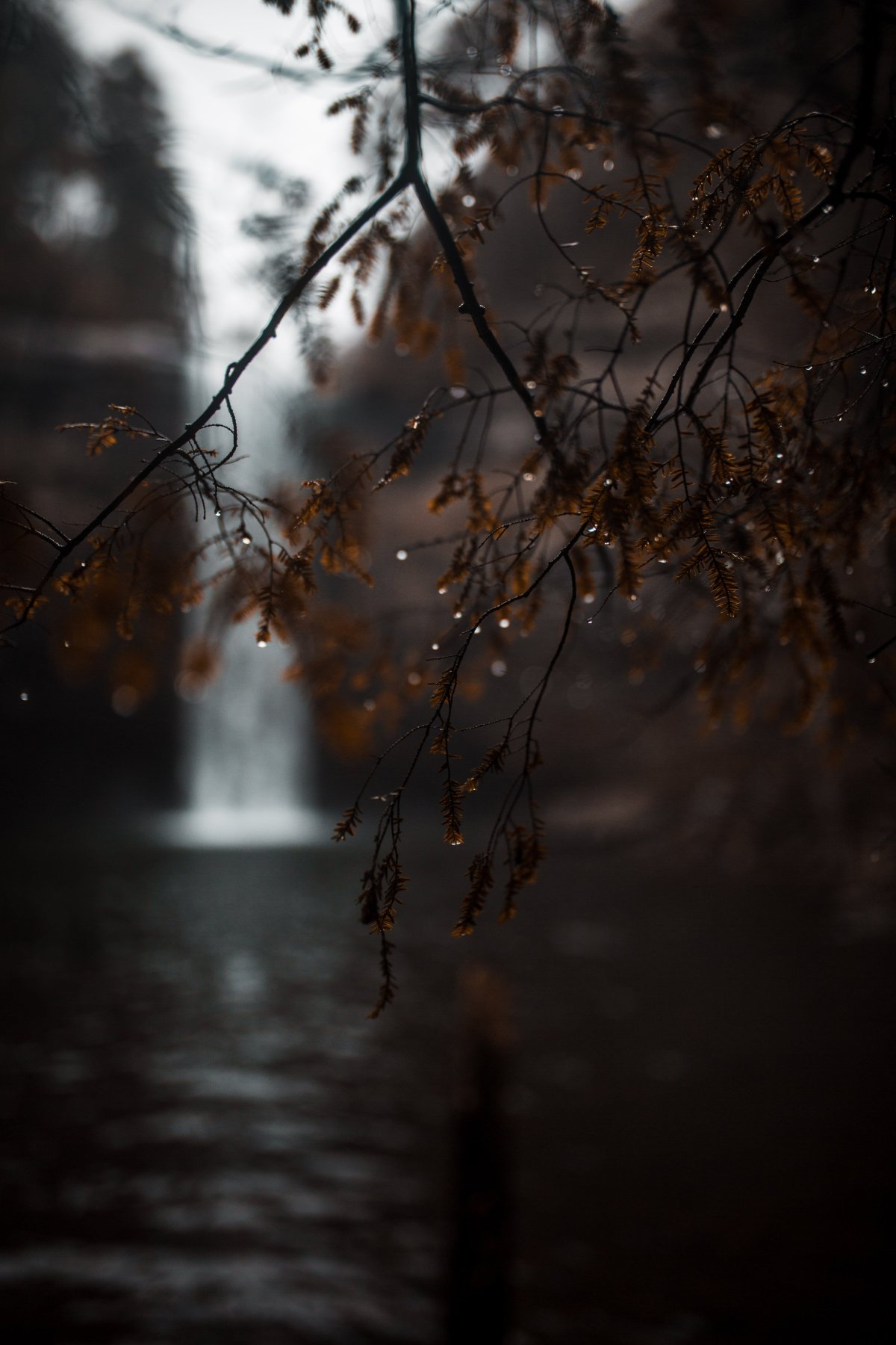 Осень дождь