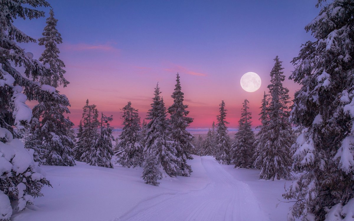 Jorn Allan Pedersen(Норвегия)