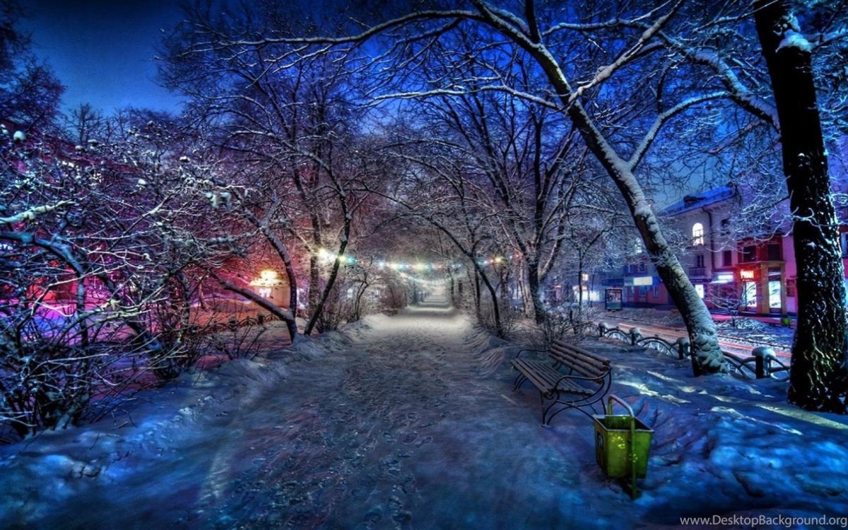 Зимняя ночь в городе