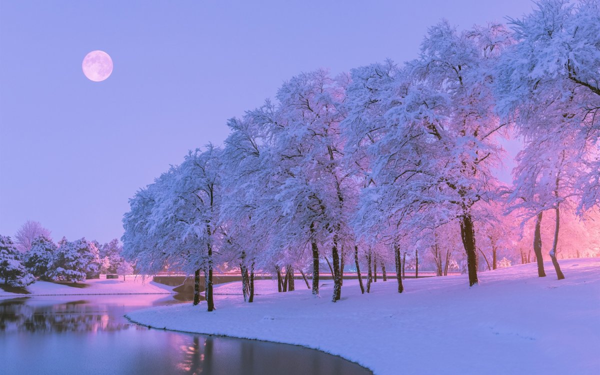 Зимняя красота
