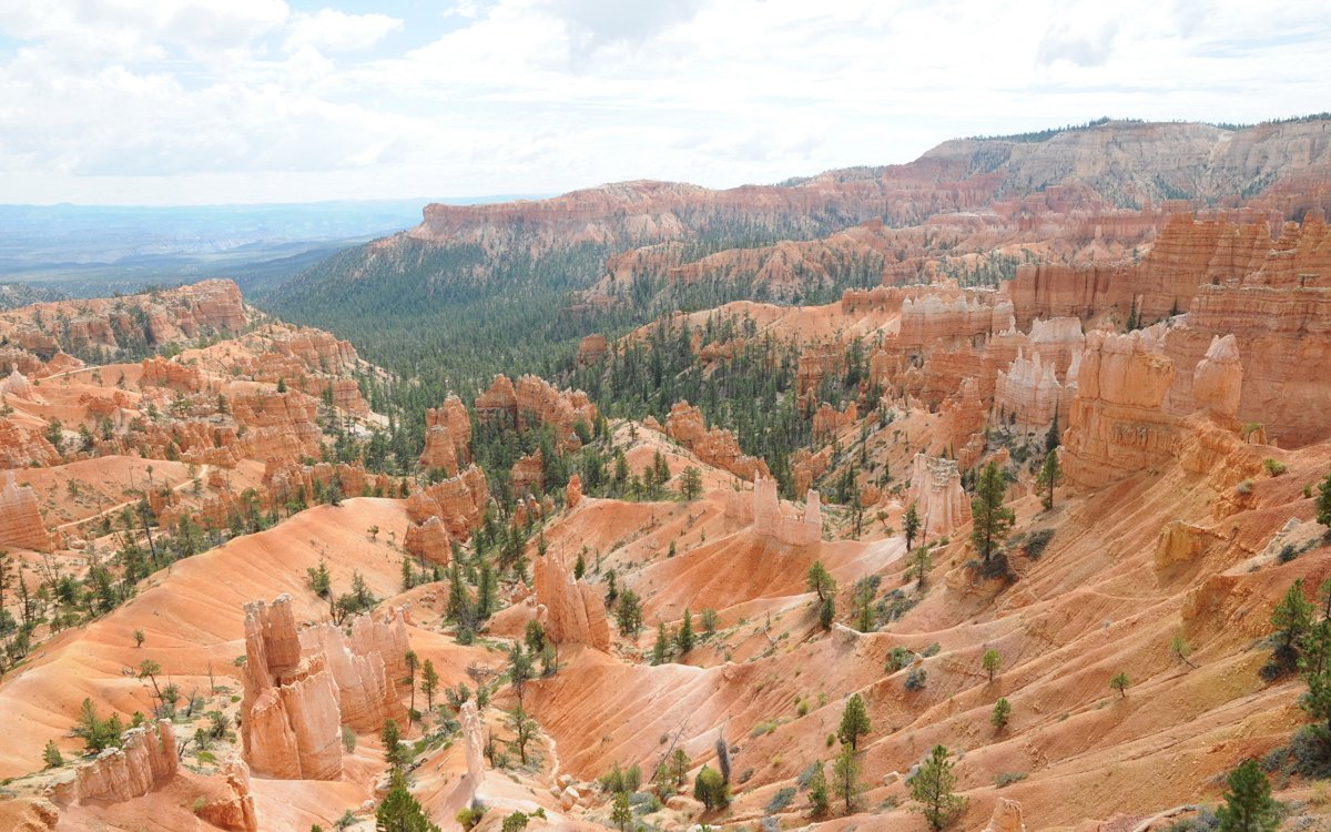 Utah nature
