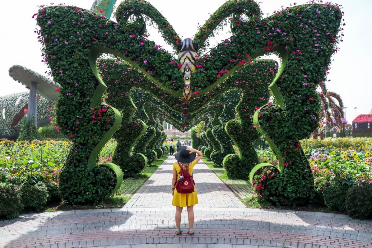 Сад чудес Dubai Miracle Garden